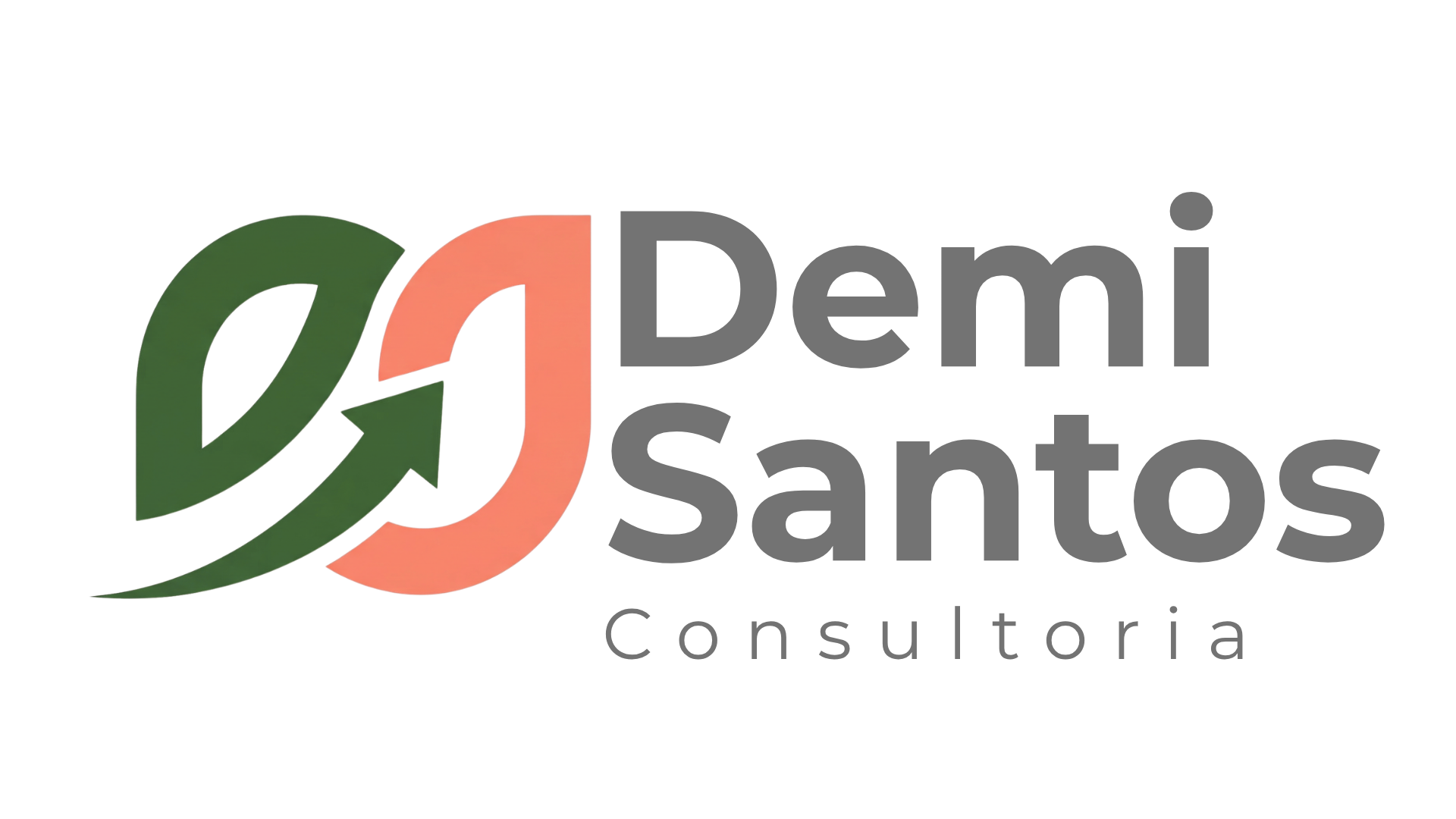Demi Santos Consultoria